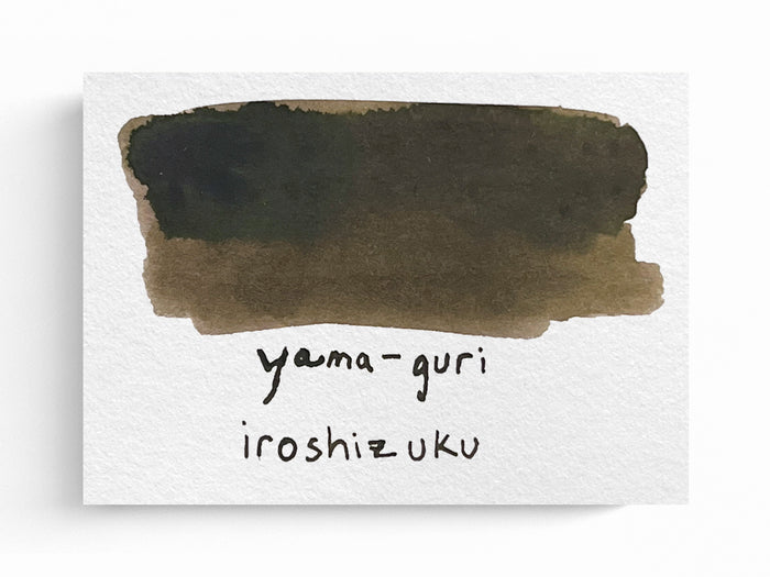 Pilot Iroshizuku Fountain Pen Ink - Yama-Guri