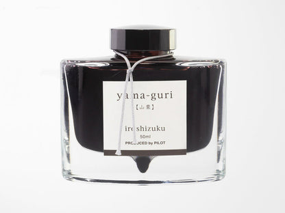 Pilot Iroshizuku Fountain Pen Ink - Yama-Guri