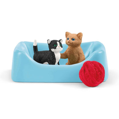 Playtime for cute cats
