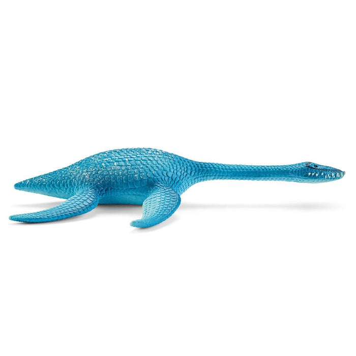 Plesiosaurus