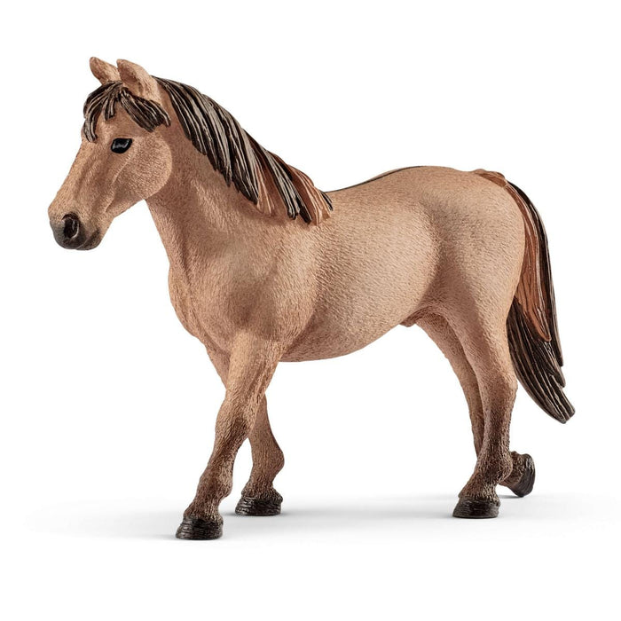 Pony slalom