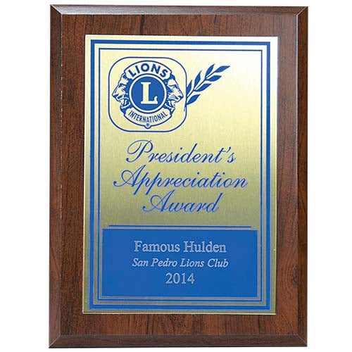 PRESIDENTS APPRECIATION AWARD