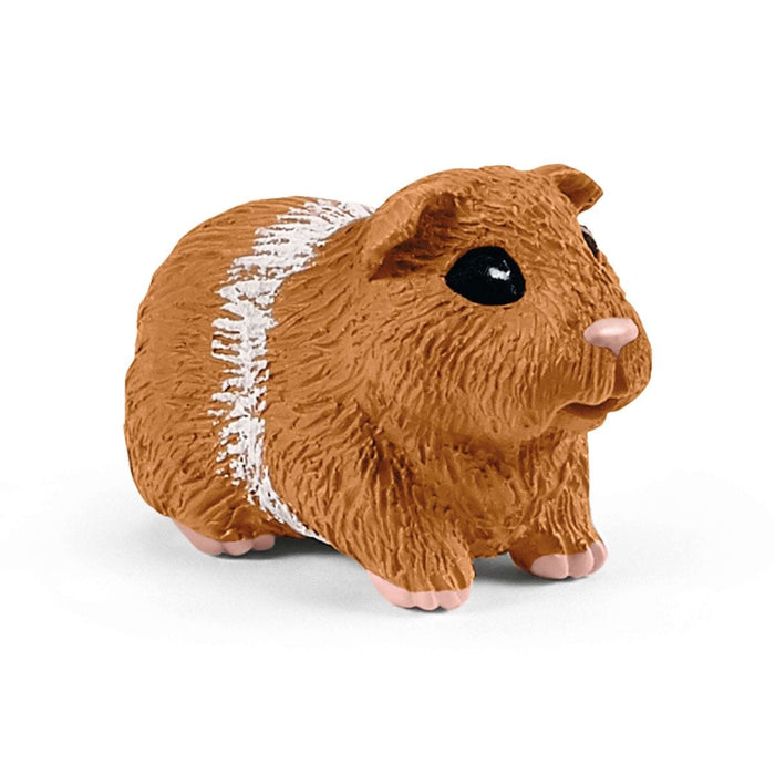 Rabbit and guinea pig hutch