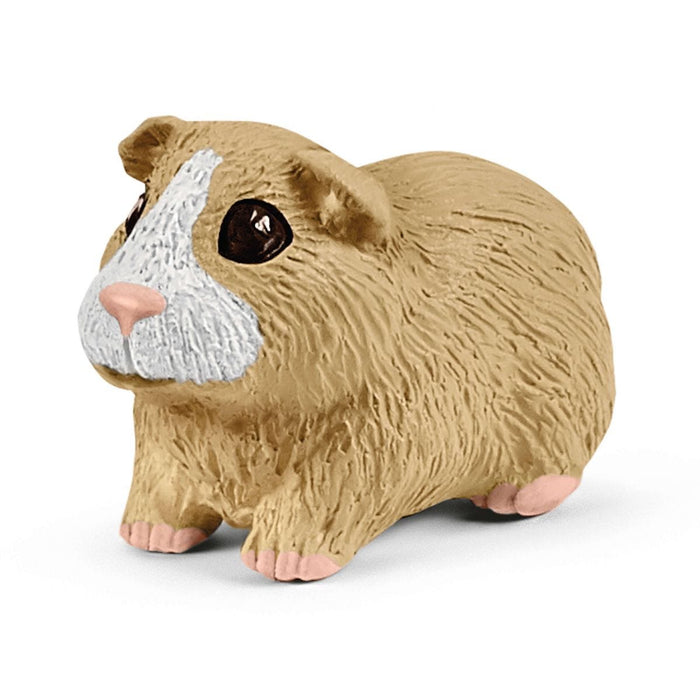 Rabbit and guinea pig hutch
