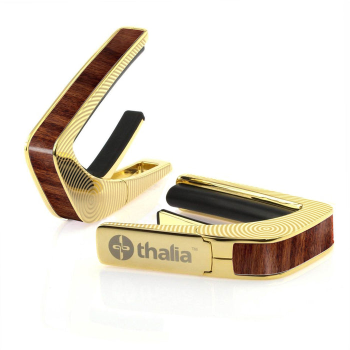 24K Gold / Circles