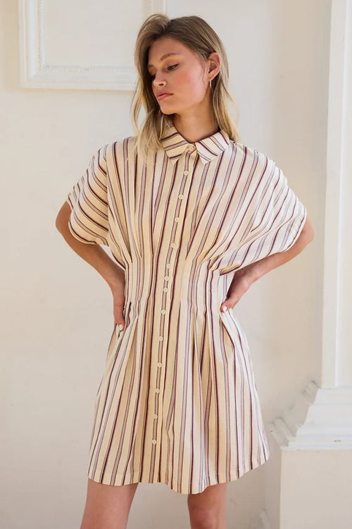 Samantha Stripe Button Down Mini Dress