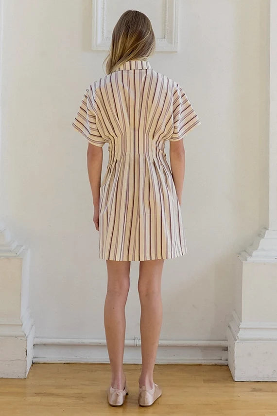 Samantha Stripe Button Down Mini Dress