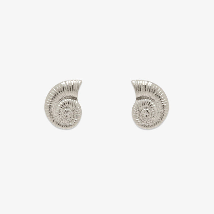 Seashell Stud Earrings