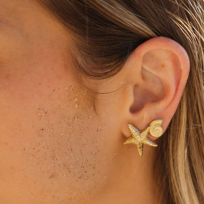 Seashell Stud Earrings