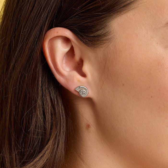Seashell Stud Earrings