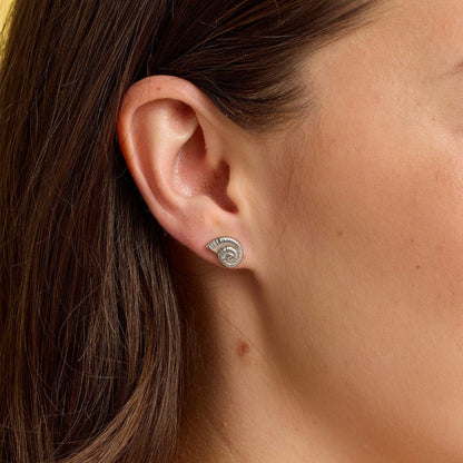 Seashell Stud Earrings
