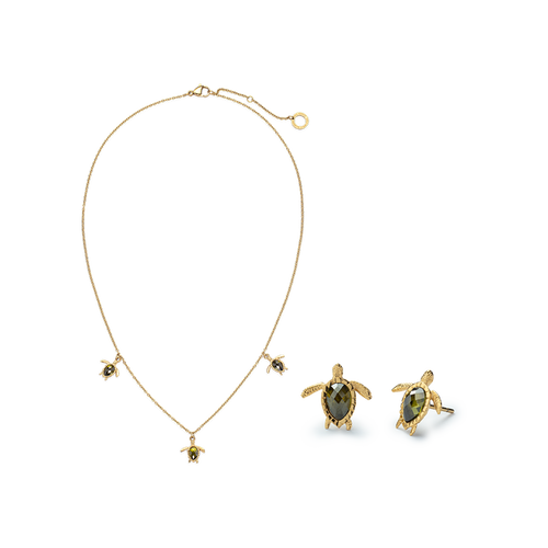 Set Turtle Gold
