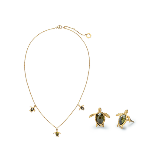Set Turtle Gold