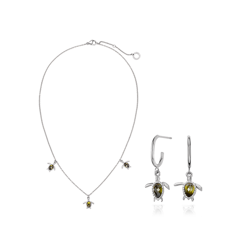 Set Turtle II Silber