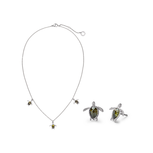 Set Turtle Silber