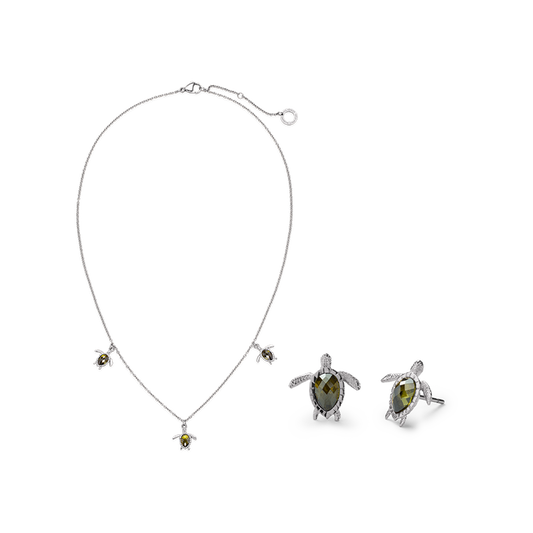 Set Turtle Silber