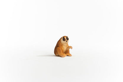 Slow Loris