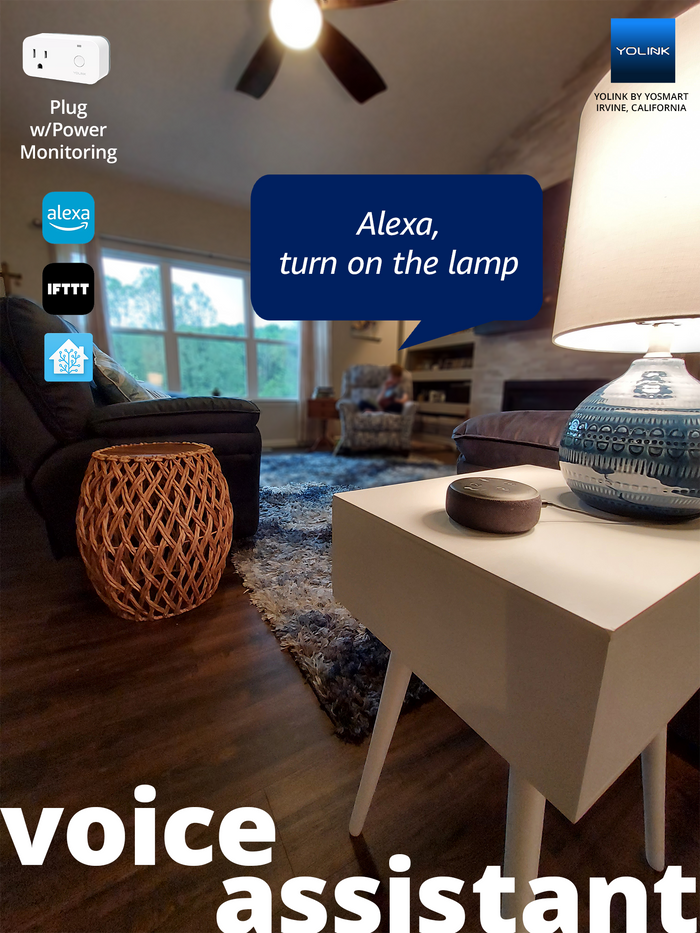 voice assistant