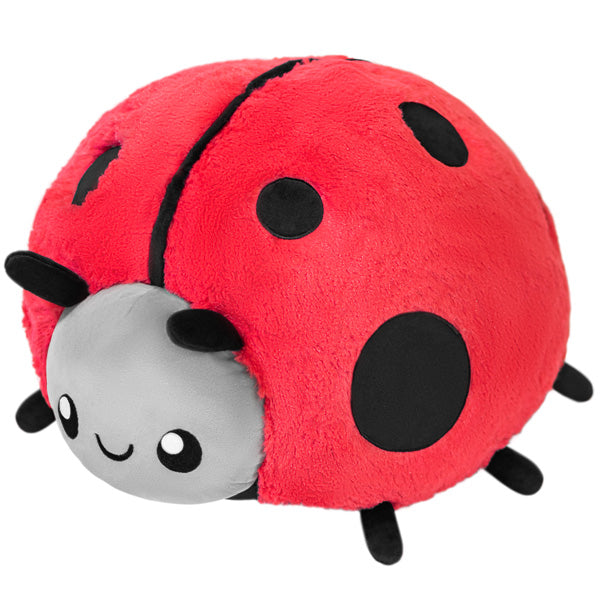 Ladybug