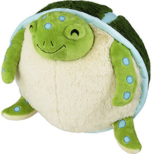 Sea Turtle