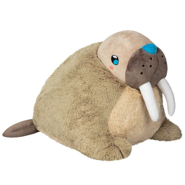Walrus