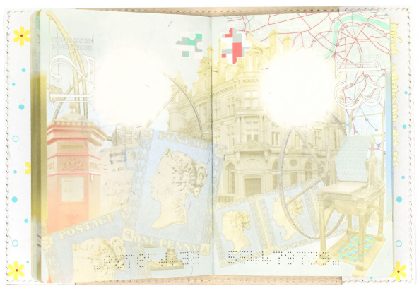 Swimmers Passport Cover