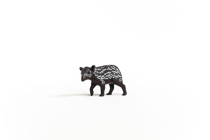 Tapir Baby