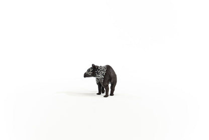 Tapir Baby