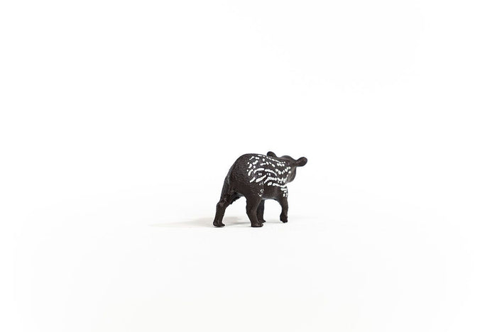 Tapir Baby