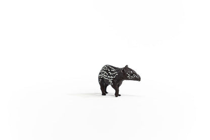 Tapir Baby