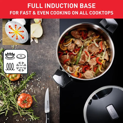 Tefal Emotion Induction Stainless Steel Stockpot 9L with full induction base