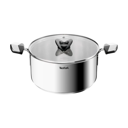 Tefal Space+ Emotion+ Induction Stainless Steel Uncoated Stewpot 24cm + Lid