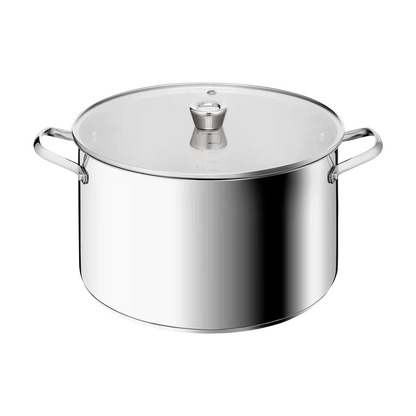 Tefal Space+ Emotion+ XL Induction Stainless Steel Big Pot 13.8L