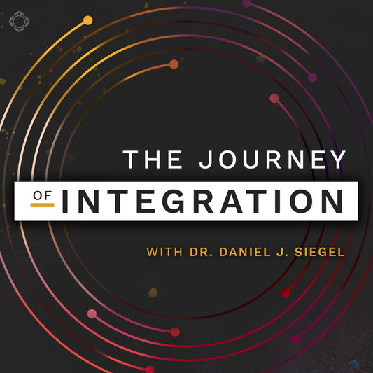The Journey of Integration