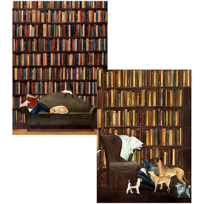 The Library Boxed Note Cards