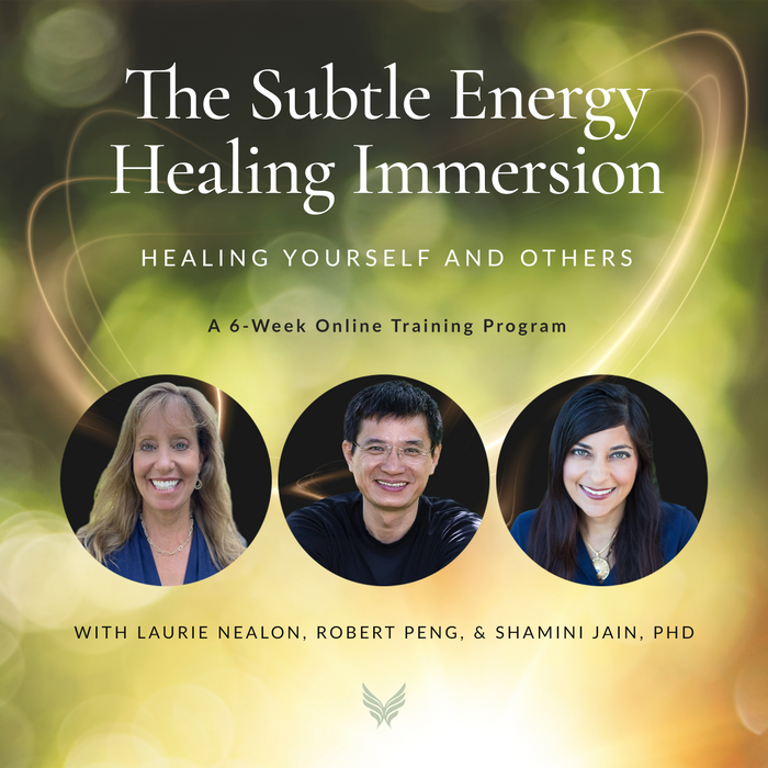 The Subtle Energy Healing Immersion
