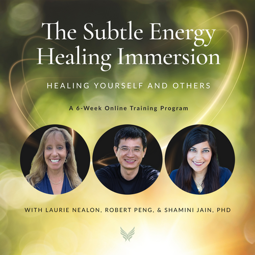 The Subtle Energy Healing Immersion