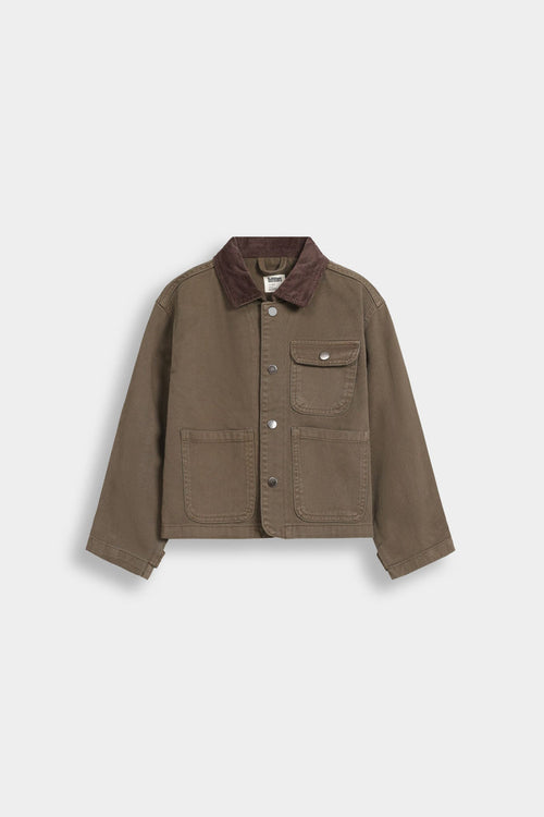 Dark Olive