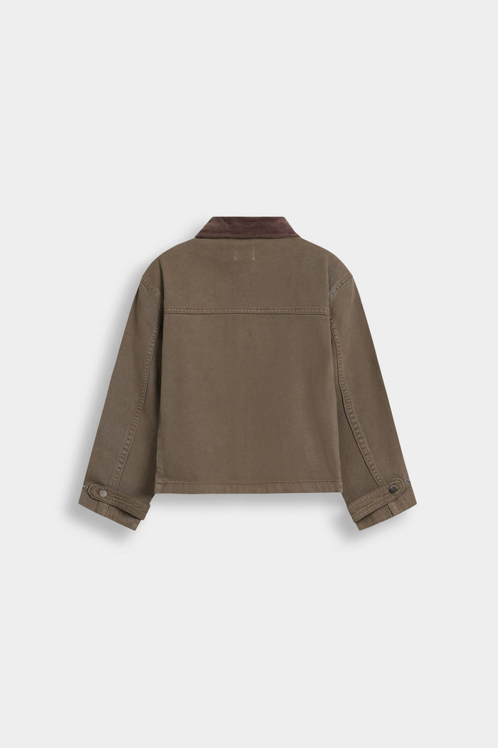 Dark Olive